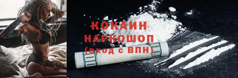 COCAIN Fish Scale  Кинешма 